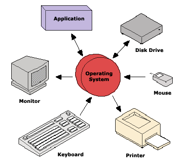 How does computer hardware understand software?